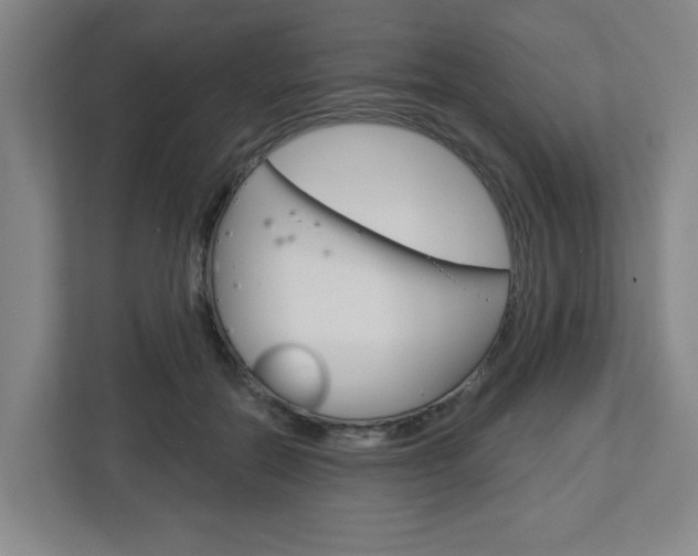 X0000113050554200908271057