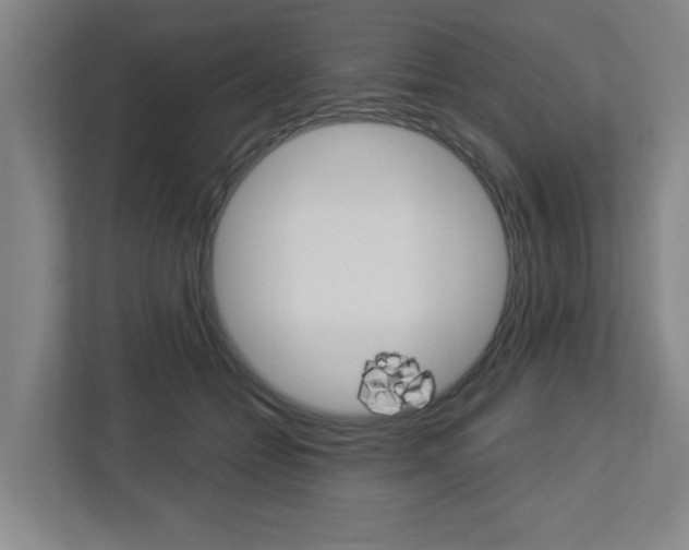 X0000113050558200908271057