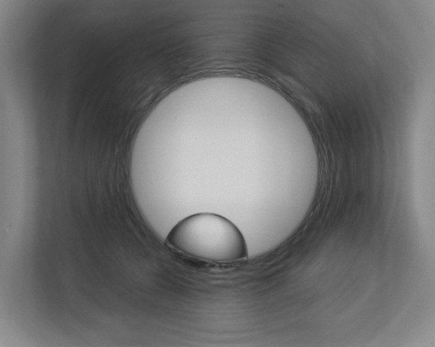 X0000113050560200908271057