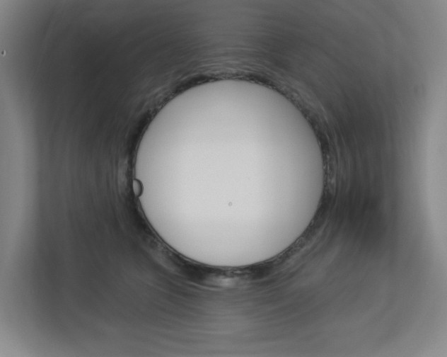 X0000113050563200908271057