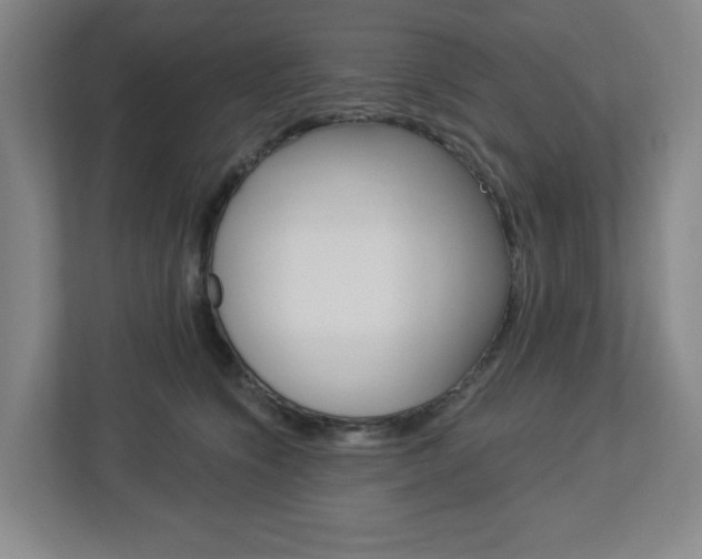 X0000113050564200908271057
