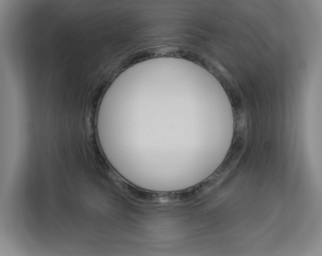 X0000113050565200908271057
