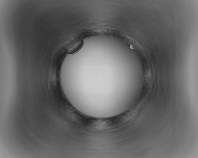 X0000113050566200908271057