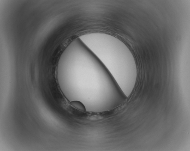 X0000113050572200908271057