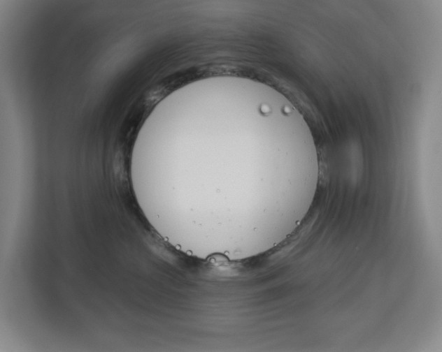 X0000113050573200908271057