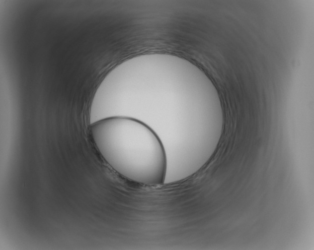 X0000113050576200908271057