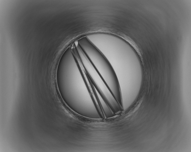 X0000113050577200908271056