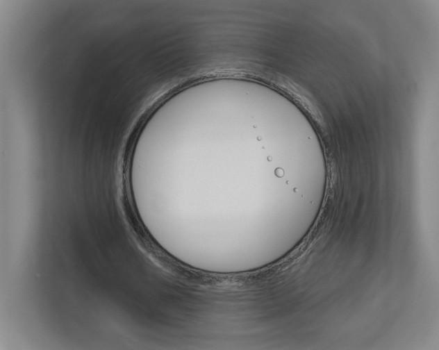 X0000113050578200908271056