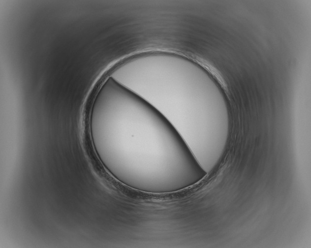 X0000113050580200908271056