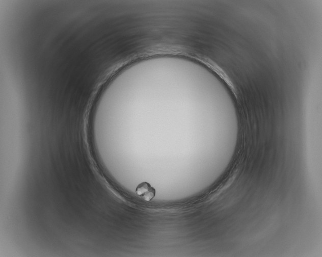 X0000113050581200908271056