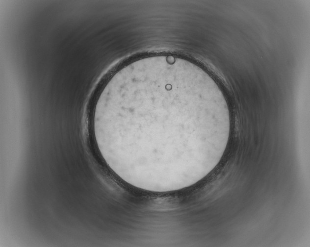 X0000113050584200908271056