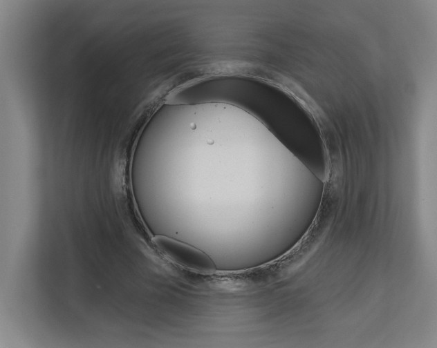 X0000113050585200908271056