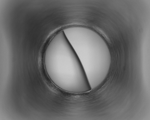 X0000113050588200908271056