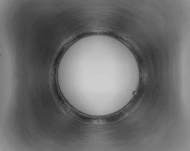 X0000113050591200908271056