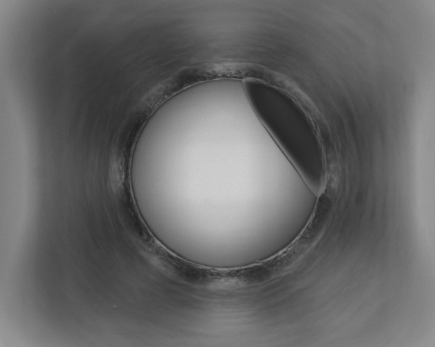 X0000113050593200908271056