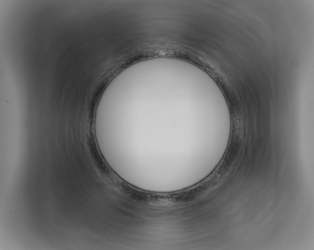 X0000113050594200908271056