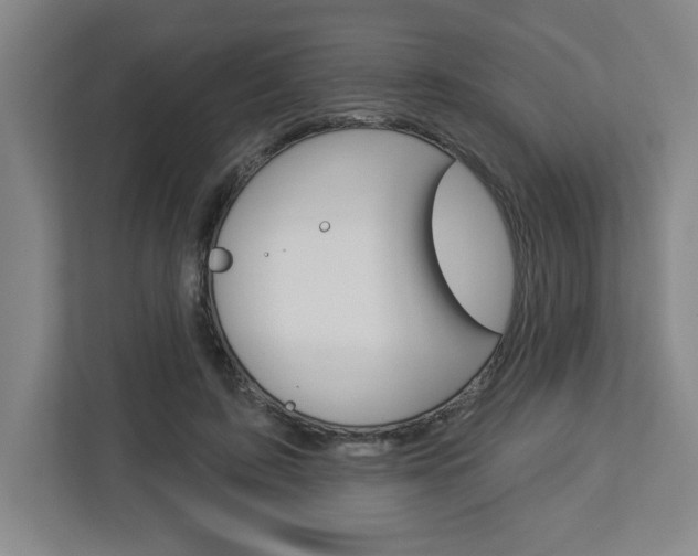 X0000113050595200908271056