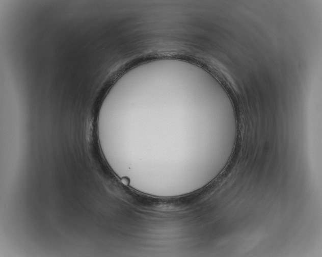 X0000113050596200908271056
