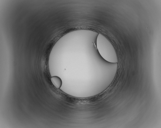 X0000113050599200908271056