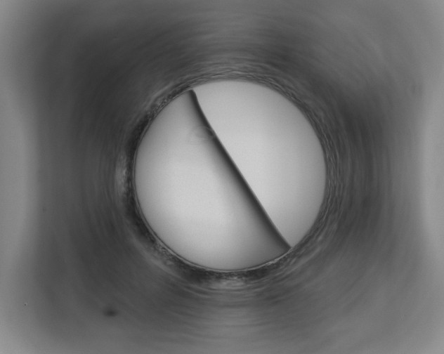 X0000113050600200908271056