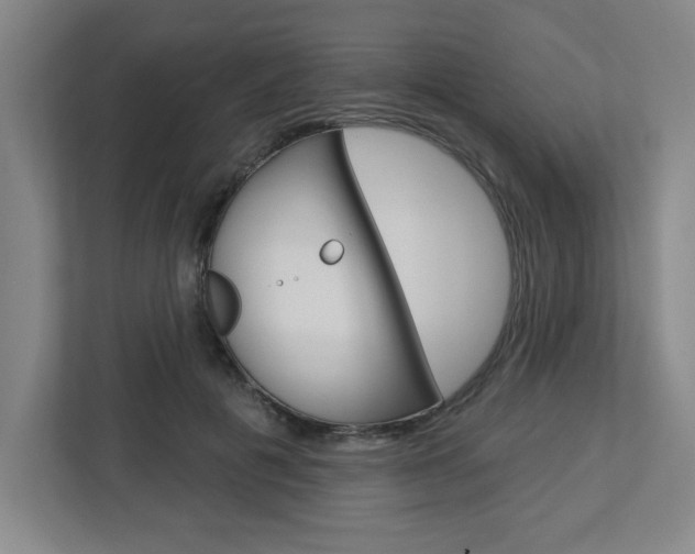 X0000113050601200908271056