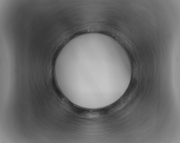 X0000113050604200908271056