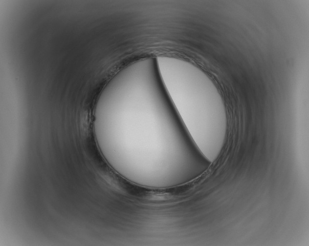 X0000113050605200908271056