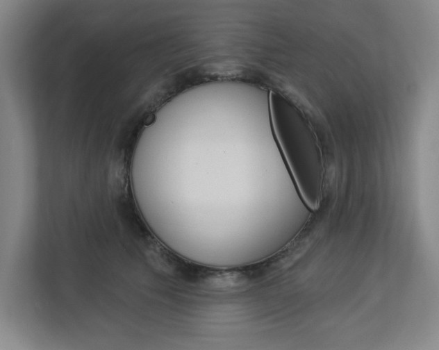 X0000113050609200908271056