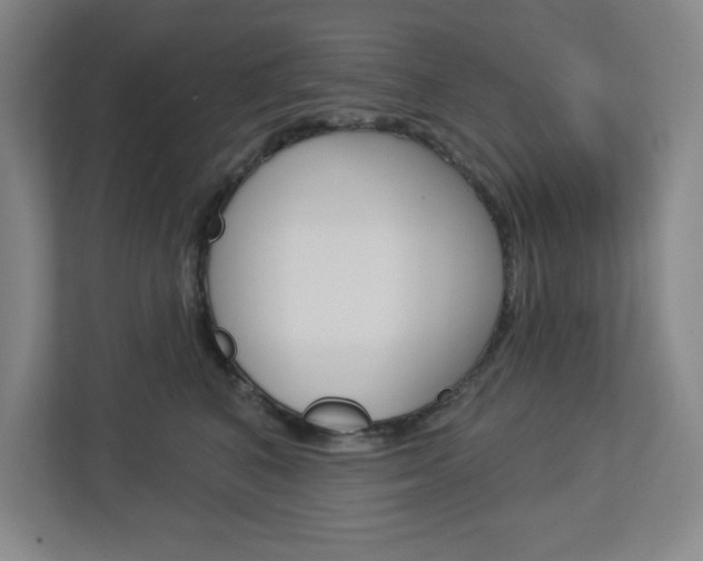 X0000113050616200908271056