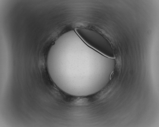 X0000113050617200908271056