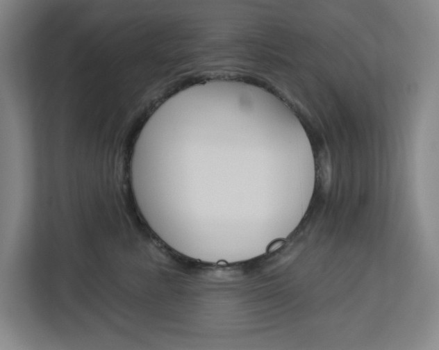 X0000113050619200908271056