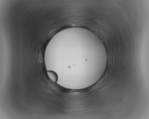 X0000113050620200908271056