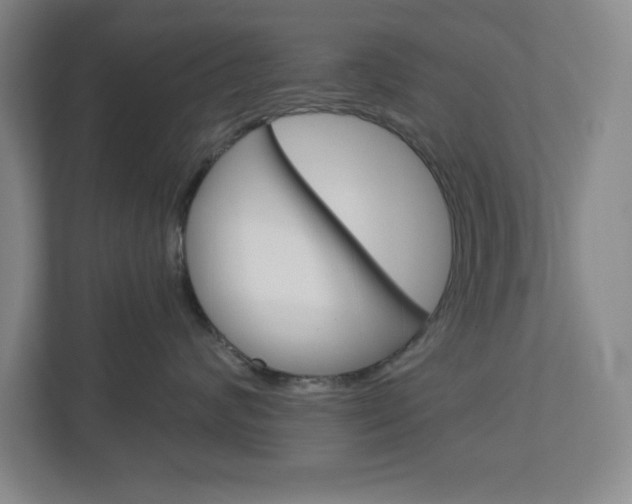 X0000113050624200908271056