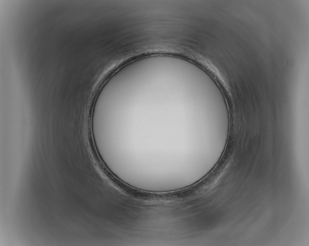 X0000113050625200908271055