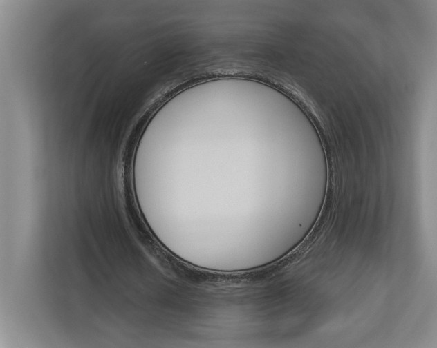 X0000113050626200908271055