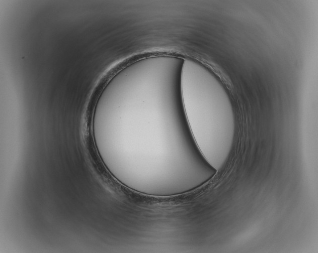 X0000113050628200908271055