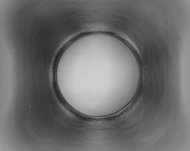 X0000113050629200908271055