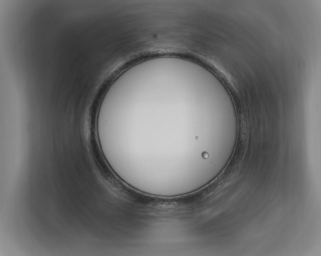 X0000113050631200908271055