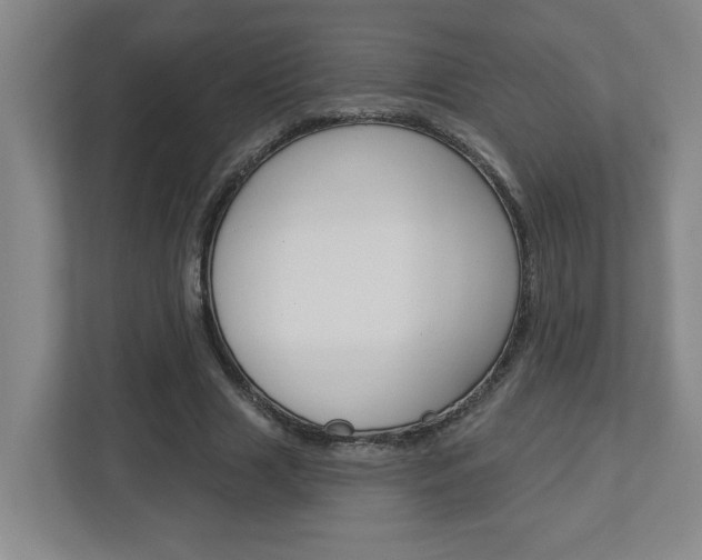 X0000113050633200908271055