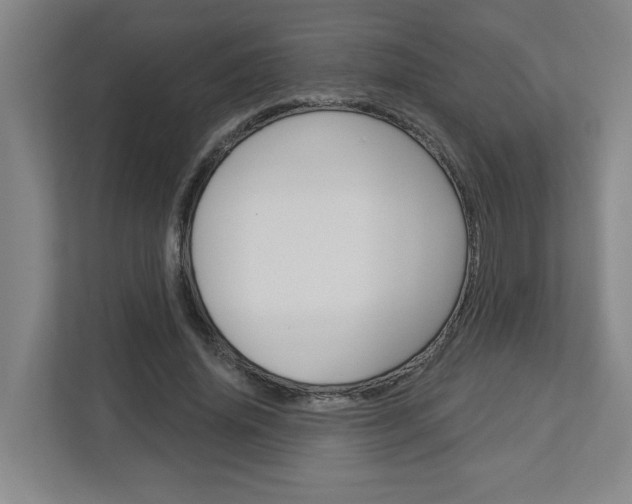 X0000113050636200908271055