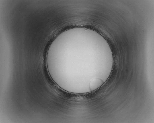 X0000113050639200908271055