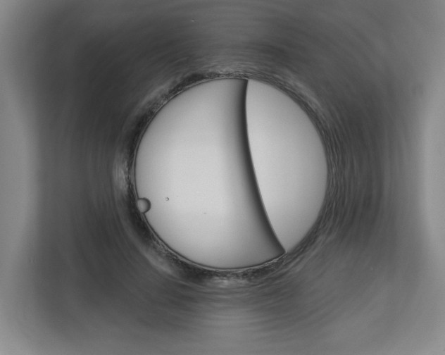 X0000113050644200908271055