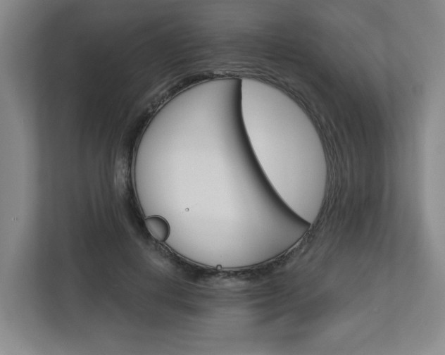 X0000113050648200908271056