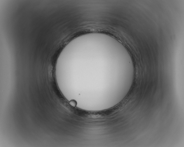 X0000113050650200908271056