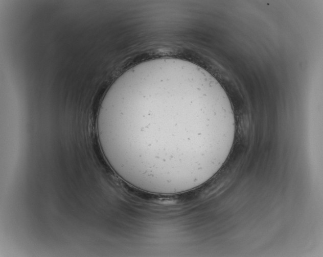X0000113050651200908271056