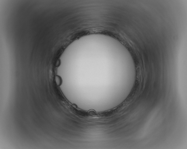 X0000113050655200908271056