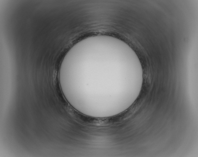 X0000113050660200908271056