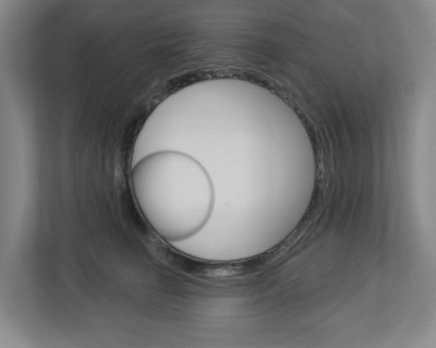 X0000113050662200908271056