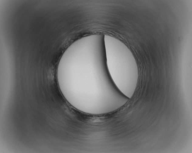 X0000113050664200908271056