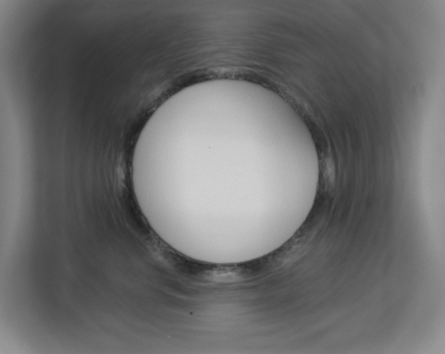 X0000113050668200908271056
